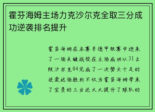 霍芬海姆主场力克沙尔克全取三分成功逆袭排名提升