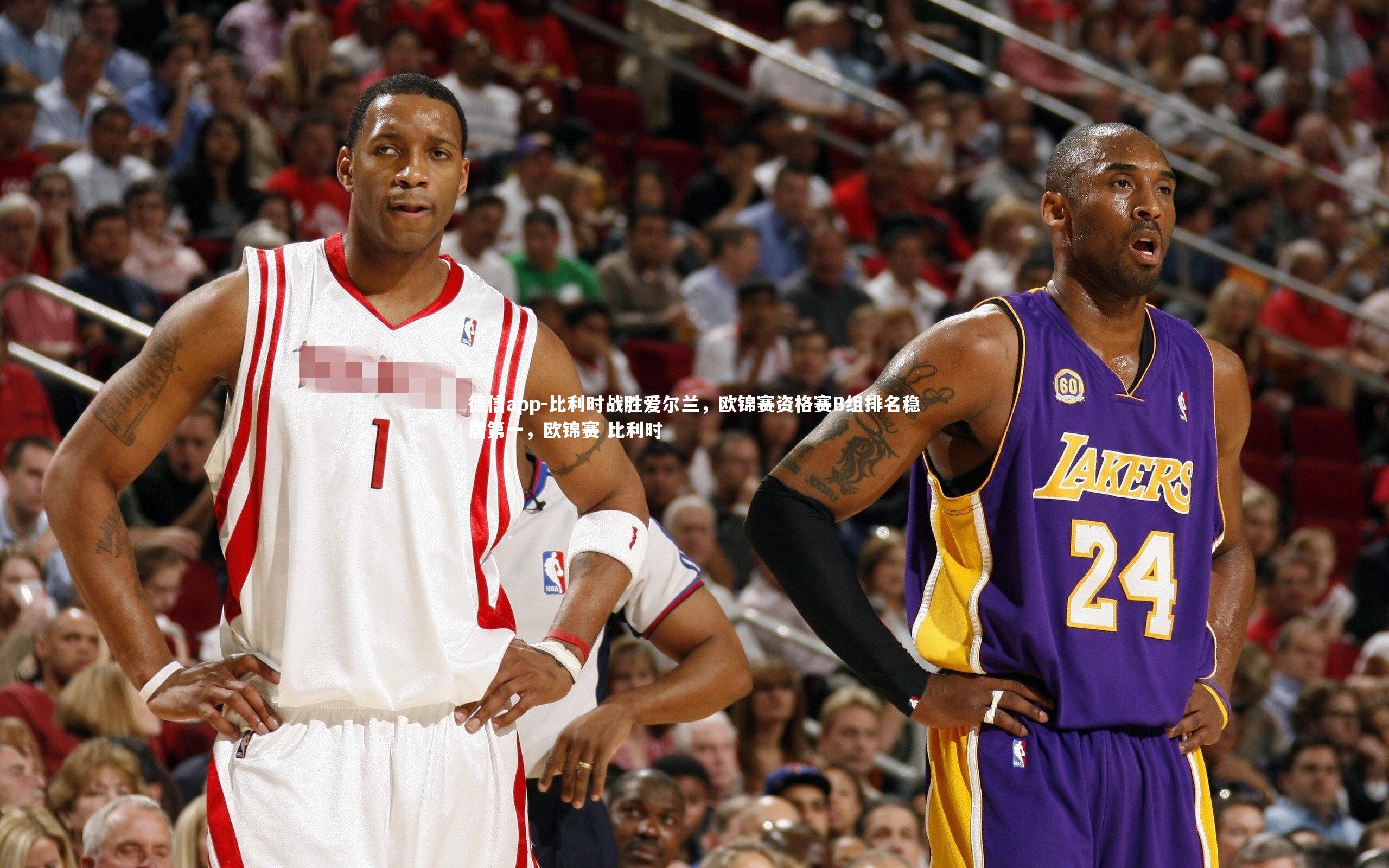 比利时战胜爱尔兰,欧锦赛资格赛B组排名稳居第一,欧锦赛 比利时