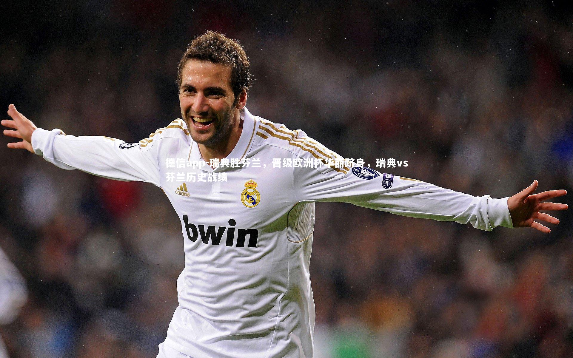 瑞典胜芬兰,晋级欧洲杯华丽跻身,瑞典vs芬兰历史战绩